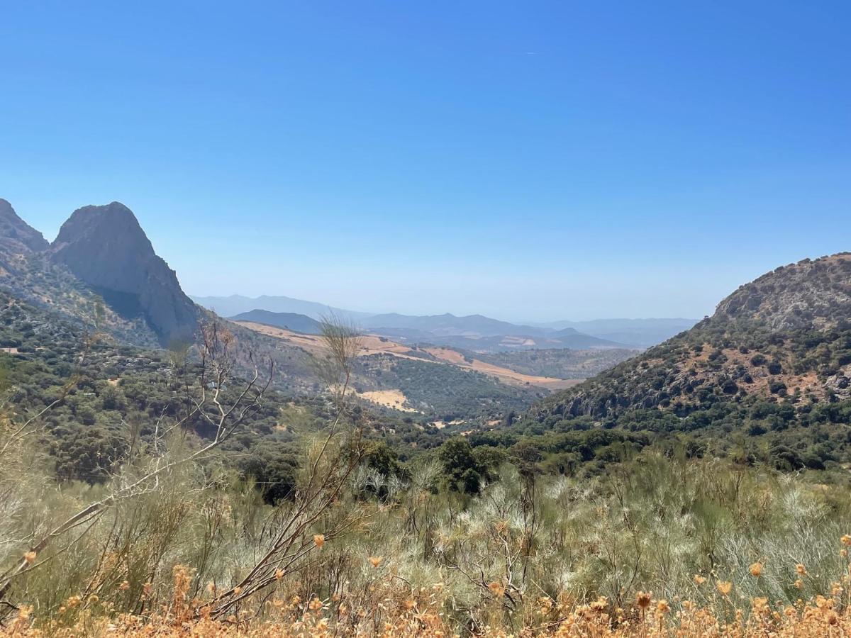 Cortijo Rancho Verde Colmenar Εξωτερικό φωτογραφία