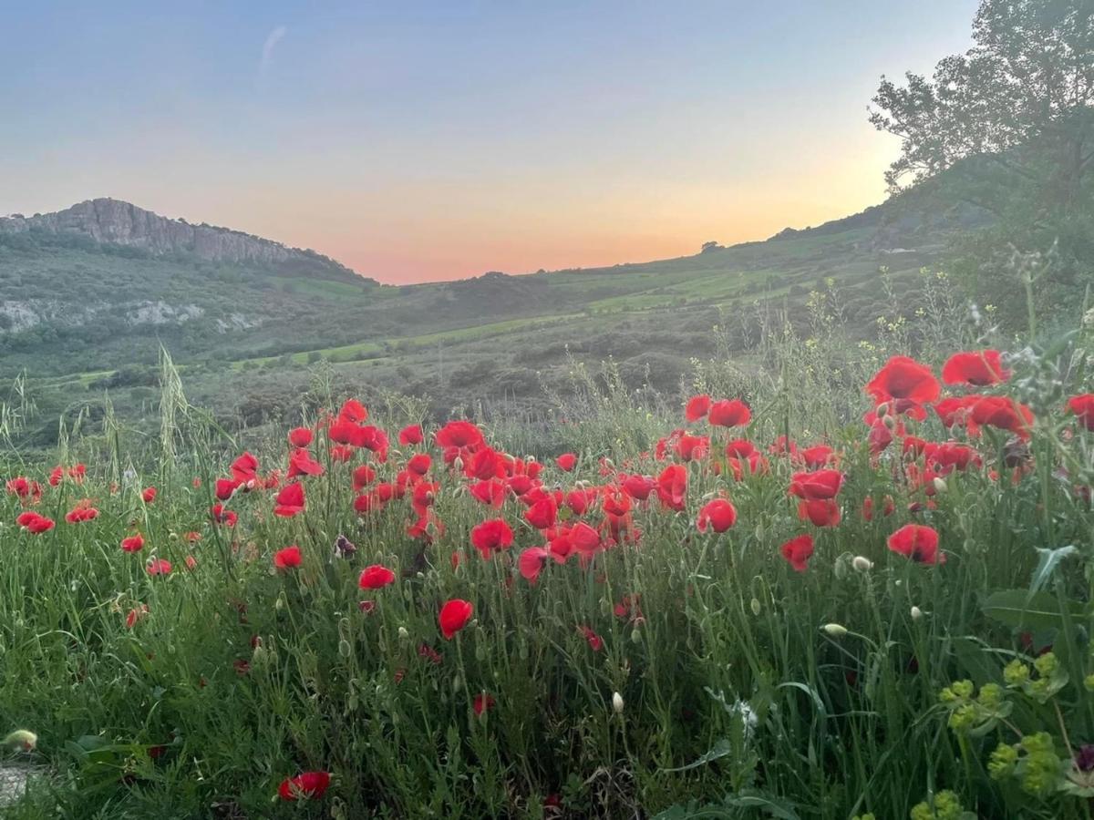 Cortijo Rancho Verde Colmenar Εξωτερικό φωτογραφία