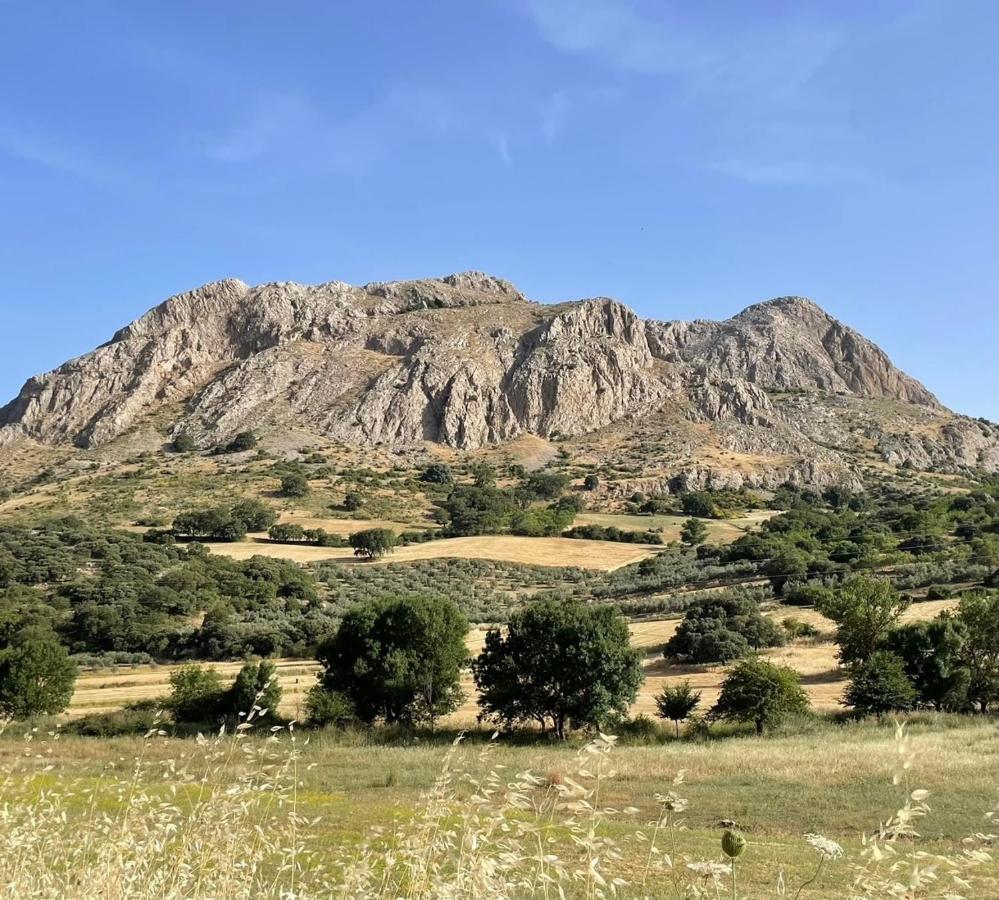 Cortijo Rancho Verde Colmenar Εξωτερικό φωτογραφία