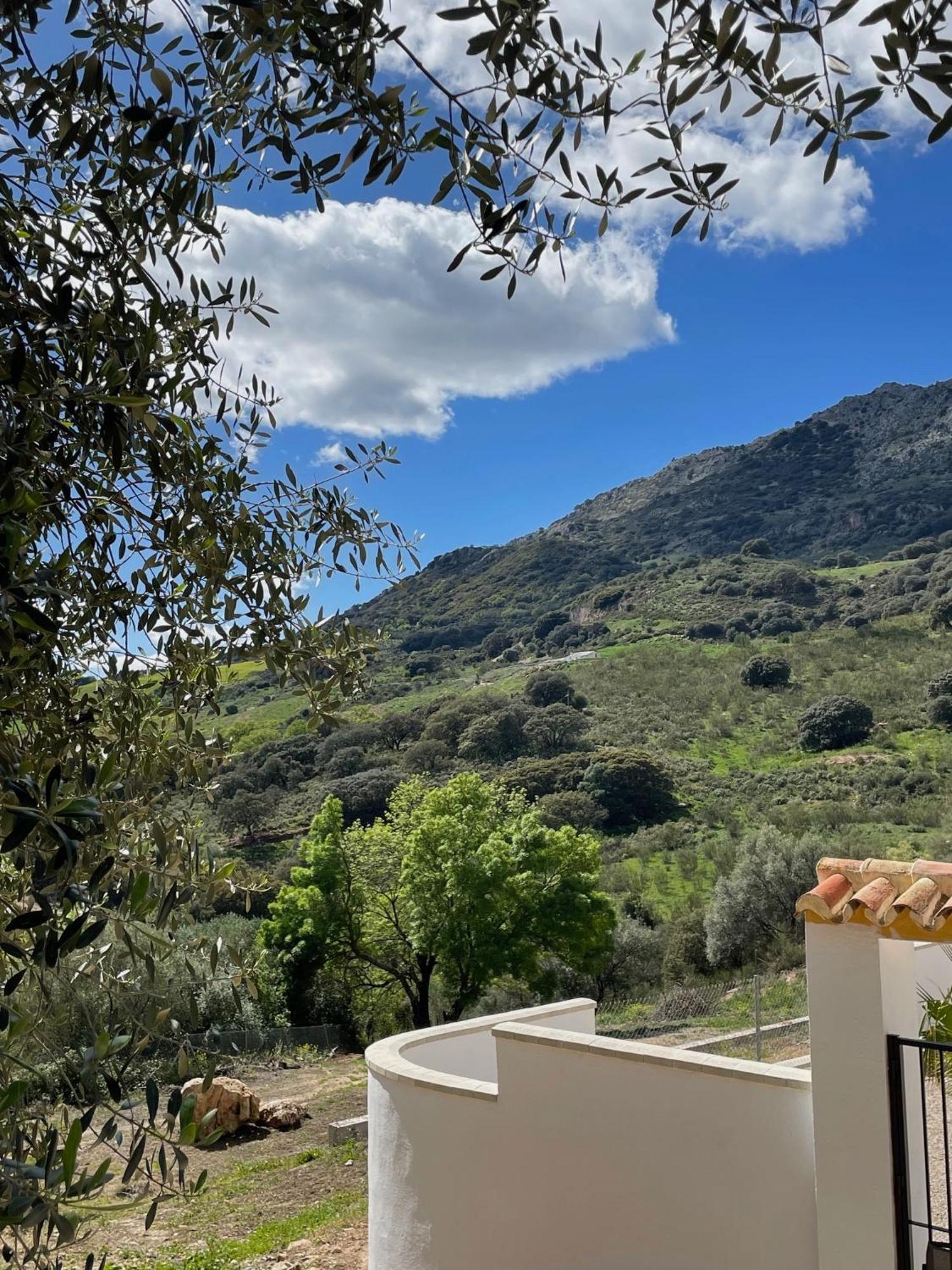 Cortijo Rancho Verde Colmenar Εξωτερικό φωτογραφία