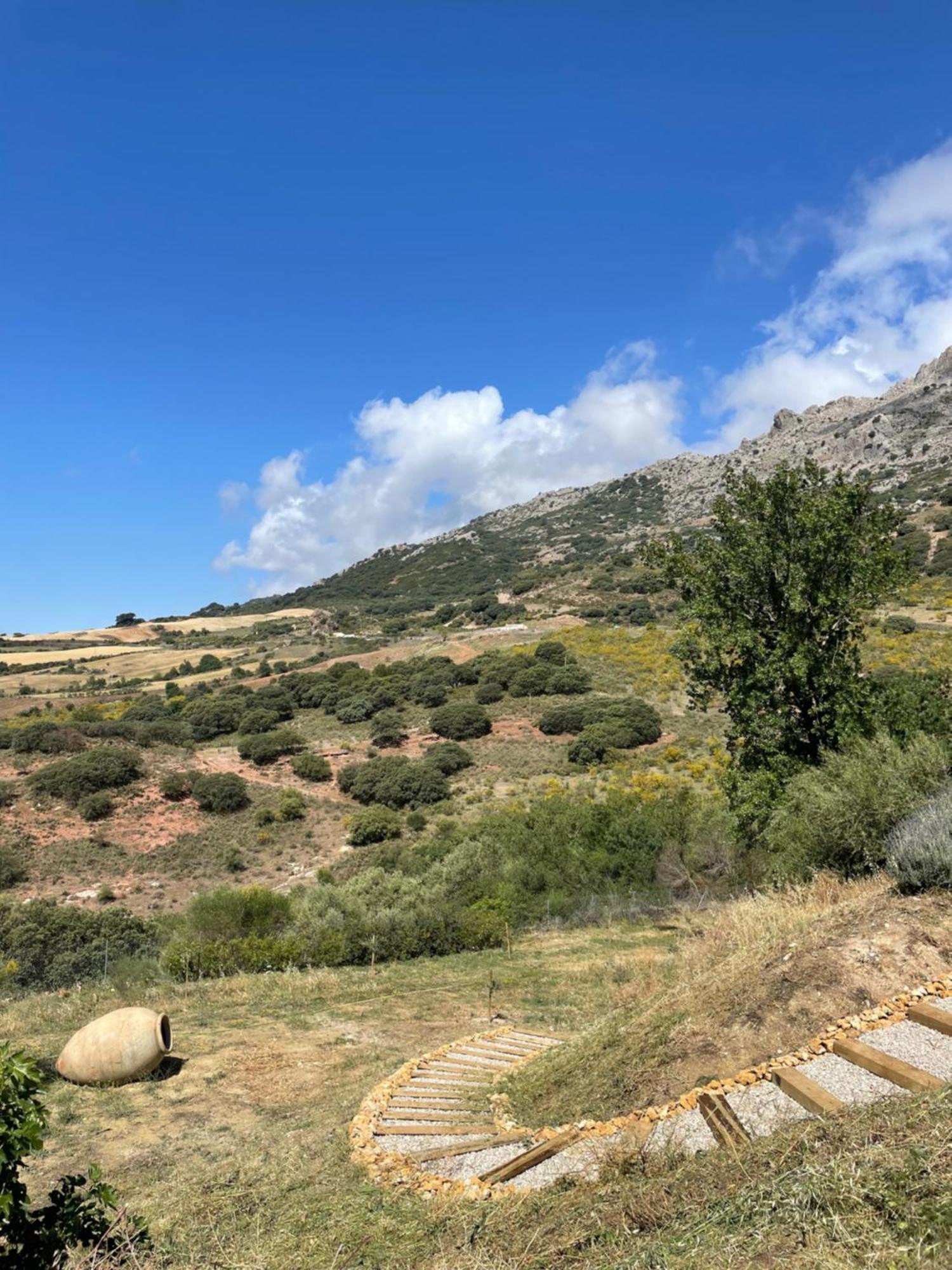 Cortijo Rancho Verde Colmenar Εξωτερικό φωτογραφία