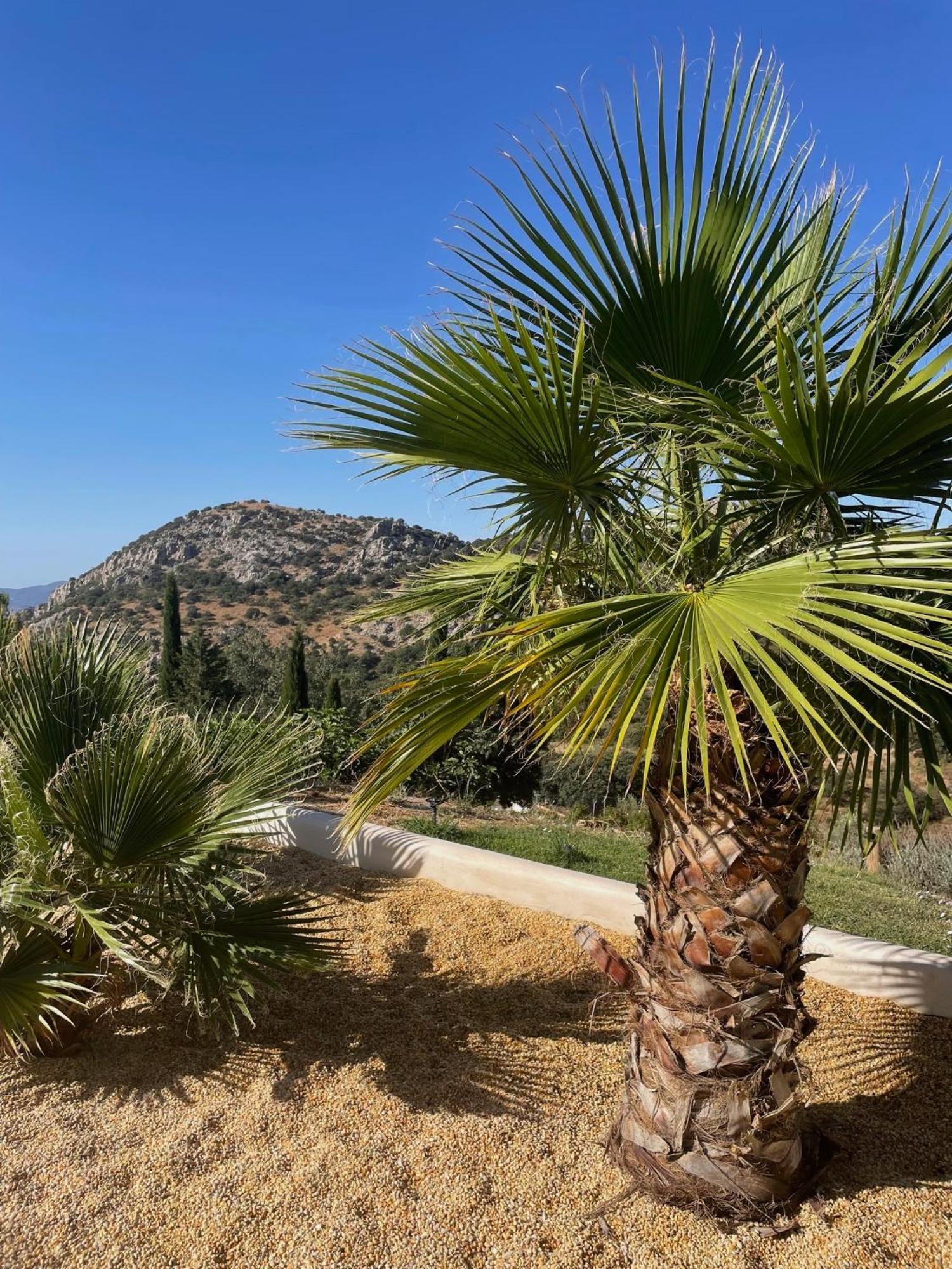 Cortijo Rancho Verde Colmenar Εξωτερικό φωτογραφία